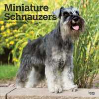 Miniature Schnauzers 2019 Calendar （16M WAL）
