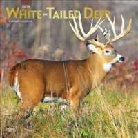 White Tailed Deer 2019 Calendar （16M WAL）