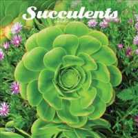 Succulents 2019 Calendar （16M WAL MU）