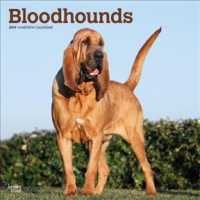 Bloodhounds 2019 Calendar （16M WAL）