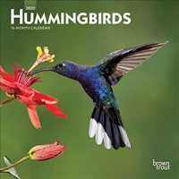 Hummingbirds 2020 Calendar （16M MIN WA）