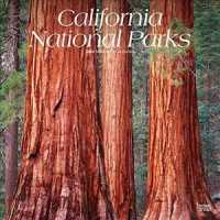 California National Parks 2020 Calendar （16M WAL）