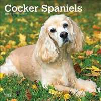 Cocker Spaniels 2020 Calendar （16M WAL MU）