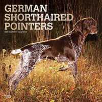 German Shorthaired Pointers 2020 Calendar （16M WAL）