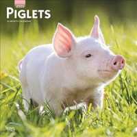 Piglets 2020 Calendar （16M WAL）