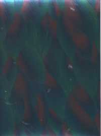 Ariel 2019-2020 Planner : Foil Stamped Cover （DES EGMT S）