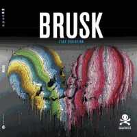 BRUSK. L'ART EVOLUTION, EDITION BILINGUE FRANCAIS-ANGLAIS: L'ART ÉVOLUTION (OPUS DELITS)