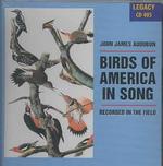 Birds of America in Song （Cd Audio）