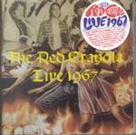 Red Crayola Live 1967 （Cd Audio）