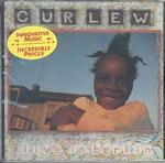 Live in Berlin （Cd Audio）