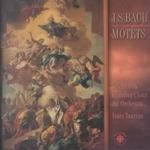 Bach:Motets （Cd Audio）