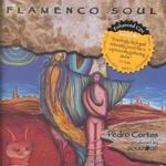 Flamenco Soul （Cd Audio）