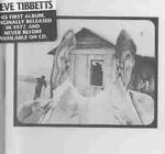 Steve Tibbetts （Cd Audio）