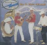 Bien De Tierra Caliente （Cd Audio）