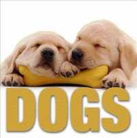 Dogs (Cubebook)