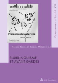 Plurilinguisme et Avant-Gardes (Comparatisme et Société / Comparatism and Society .12) （2011. 533 S. 220 mm）