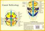 Cranial Reflexology -- A4