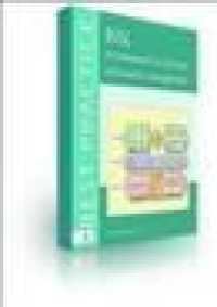 Bisl : A Framework for Business Information Management