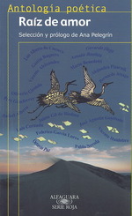 Raiz de amor/ Root of Love : Anthologia Poetica/ Poetic Anthology