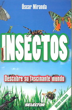 Insectos/ Insects : Descubre su fascinante mundo/ Discover Their Fascinating World (Diverticiencia) （NOV STK）
