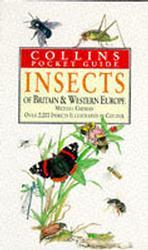 Collins Pocket Guide - Insects of Britain and Western Europe -- Paperback