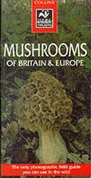 Mushrooms of Britain & Europe (Collins Wild Guide)