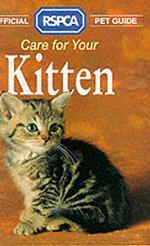 Care for your Kitten -- Paperback (English Language Edition)