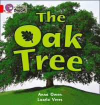 Oak Tree -- Paperback (English Language Edition)