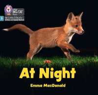 At Night : Phase 3 Set 1 Blending Practice (Big Cat Phonics for Little Wandle Letters and Sounds Revised)