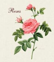 Roses : Mini Archive with DVD