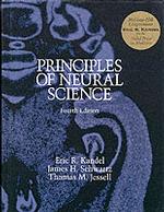 カンデル神経科学の原理（第４版）<br>Principles of Neural Science （4TH）