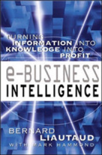 E-Business Intelligence : Turning Information into Knowledge into Profit