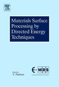 Materials Surface Processing by Directed Energy Techniques (European Materials Research Society)