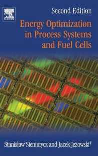 Energy Optimization in Process Systems and Fuel Cells （2ND）