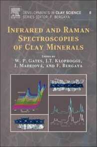 Infrared and Raman Spectroscopies of Clay Minerals (Developments in Clay Science)