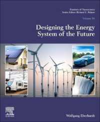 Designing the Energy System of the Future : Efficiency Challenges and Future Opportunities (Frontiers of Nanoscience)