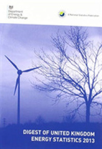 Digest of United Kingdom Energy Statistics, 2013