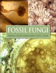 菌類の化石<br>Fossil Fungi