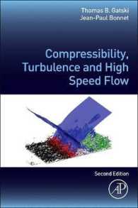 Compressibility, Turbulence and High Speed Flow （2ND）