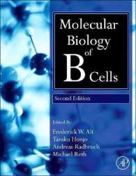 Ｂ細胞の分子生物学（第２版）<br>Molecular Biology of B Cells （2ND）