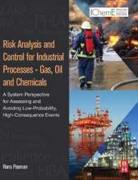 Risk Analysis and Control for Industrial Processes - Gas, Oil and Chemicals : A System Perspective for Assessing and Avoiding Low-Probability, High-Consequence Events