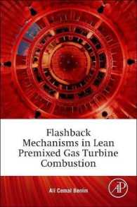 Flashback Mechanisms in Lean Premixed Gas Turbine Combustion