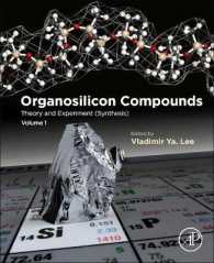 有機ケイ素化合物：理論から合成、応用へ<br>Organosilicon Compounds : Theory and Experiment (Synthesis)