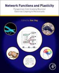 Network Functions and Plasticity : Perspectives from Studying Neuronal Electrical Coupling in Microcircuits