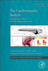 The Cardiovascular System : Development, Plasticity and Physiological Responses (Fish Physiology)