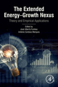 エネルギーと経済成長の連関の拡大：理論的・実証的応用<br>The Extended Energy-Growth Nexus : Theory and Empirical Applications