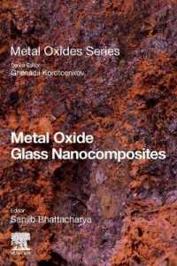 金属酸化物ガラスナノ複合材料<br>Metal Oxide Glass Nanocomposites (Metal Oxides)