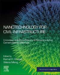 Nanotechnology for Civil Infrastructure : Innovation and Eco-efficiency of Nanostructured Cement-Based Materials (Micro & Nano Technologies)