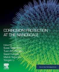 Corrosion Protection at the Nanoscale (Micro & Nano Technologies)
