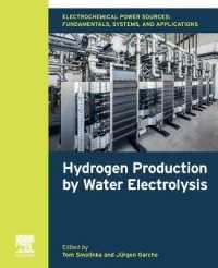 Electrochemical Power Sources: Fundamentals, Systems, and Applications : Hydrogen Production by Water Electrolysis